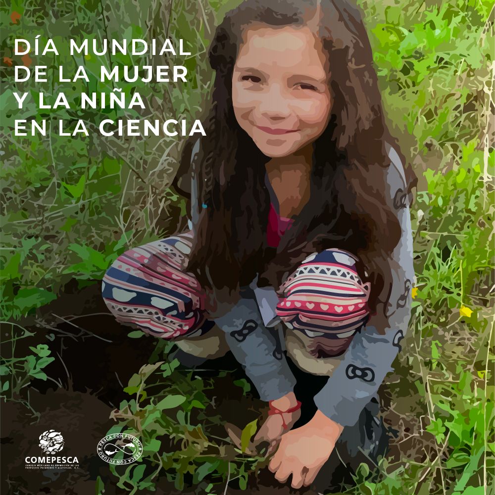 pescaconfuturo's tweet photo. En la pesca y la acuacultura, el desarrollo científico es sumamente importante para el crecimiento y mejoramiento del sector. Celebremos este día para reconocemos el papel fundamental de las mujeres y alcanzar mayor igualdad de género. https://t.co/IL5mThI7xX
