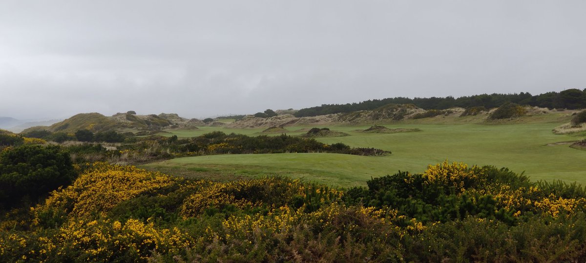 Zarathustraq's tweet image. Bandon was empty on Super Bowl Sunday! Got to play a quiet, leisurely round with some @TGCTours friends with some of the nicest February weather I ever have seen. #Golf #bandon