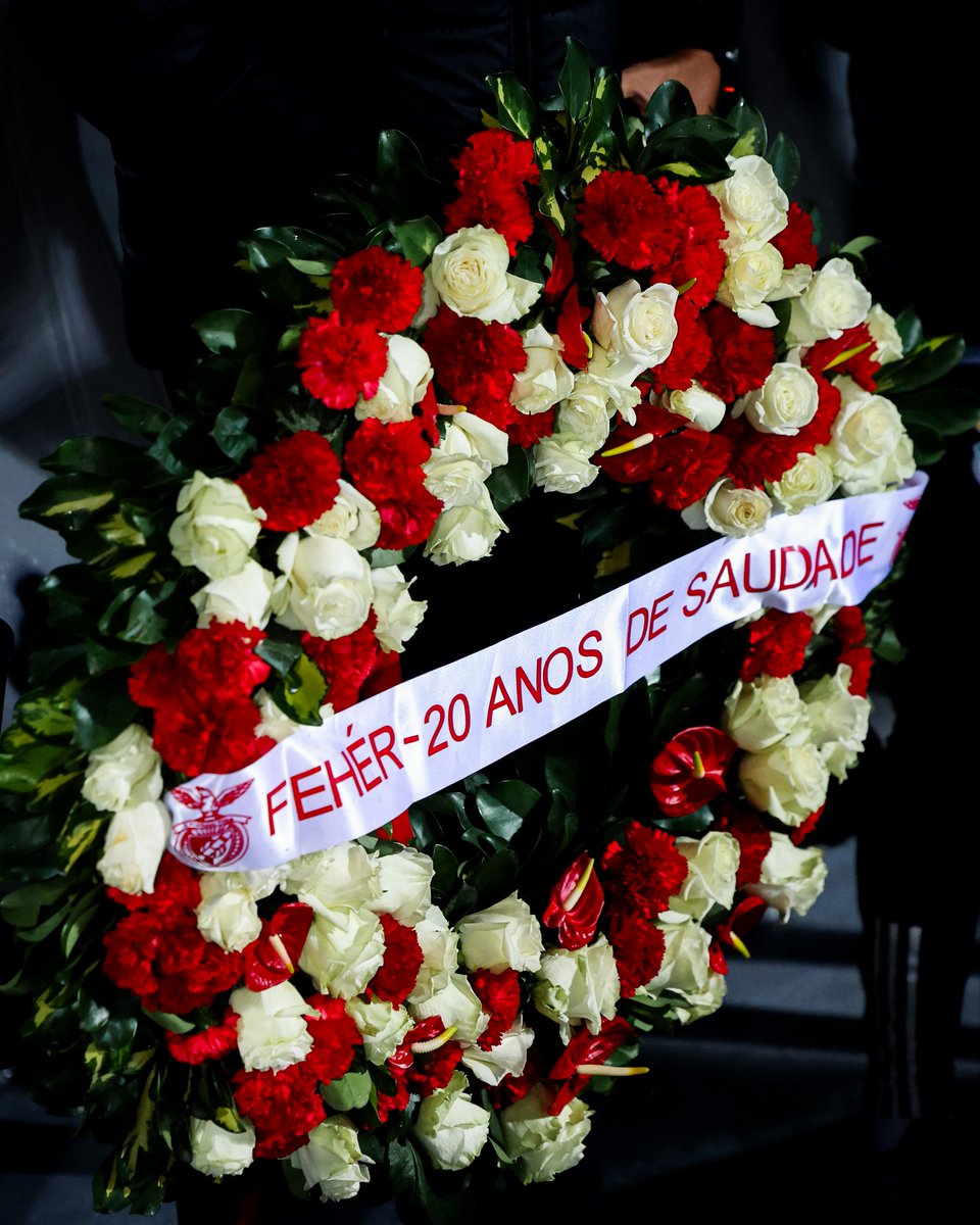 abolapt's tweet photo. A linda homenagem a Miklós Fehér antes do início da partida Vitória SC - Benfica.

No dia 25 de janeiro fez 20 anos que vimos o último sorriso do jogador, precisamente em Guimarães 🤍

📷 SL Benfica

#feher #mikifeher https://t.co/AZX4AoobHi