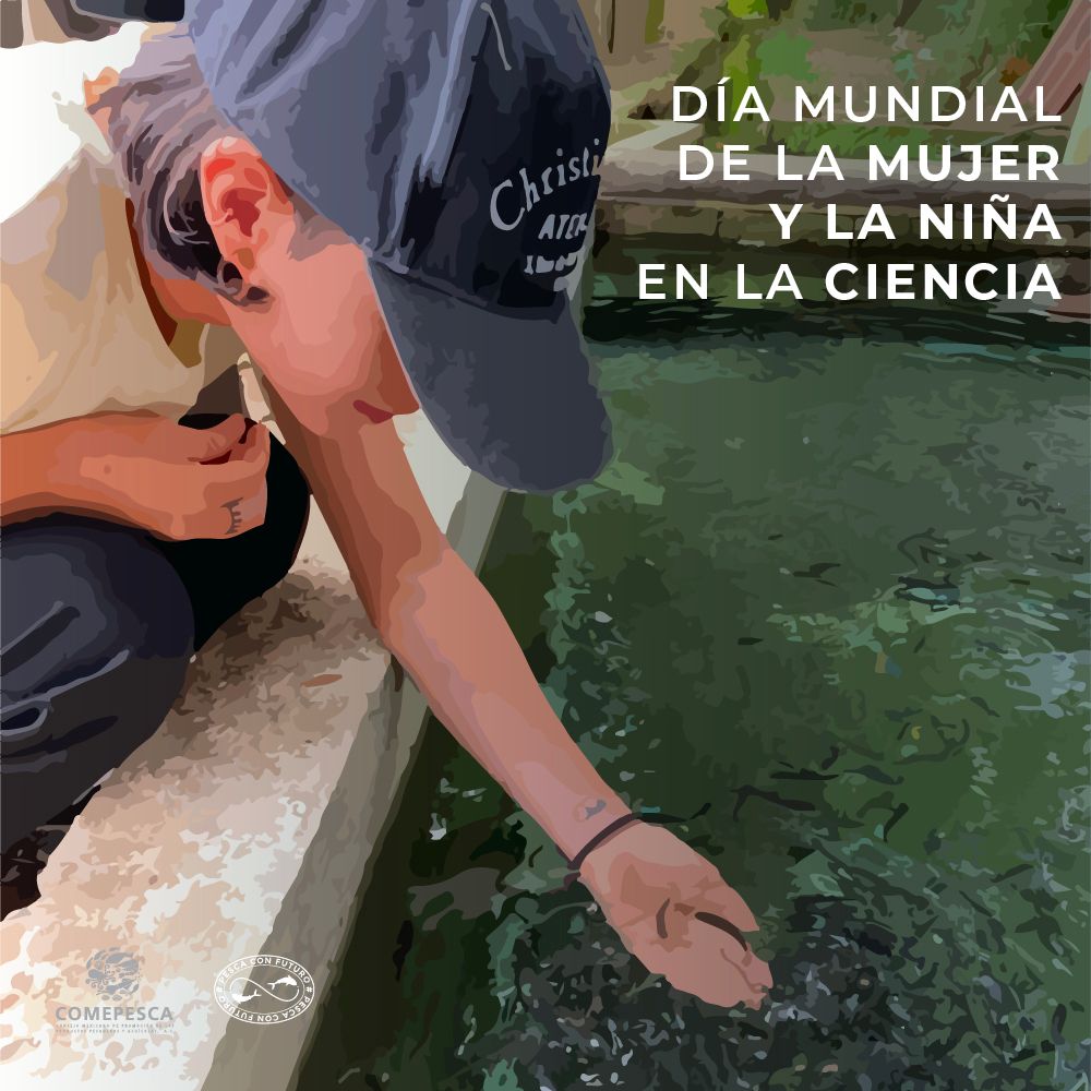 En la pesca y la acuacultura, el desarrollo científico es sumamente importante para el crecimiento y mejoramiento del sector. Celebremos este día para reconocemos el papel fundamental de las mujeres y alcanzar mayor igualdad de género.