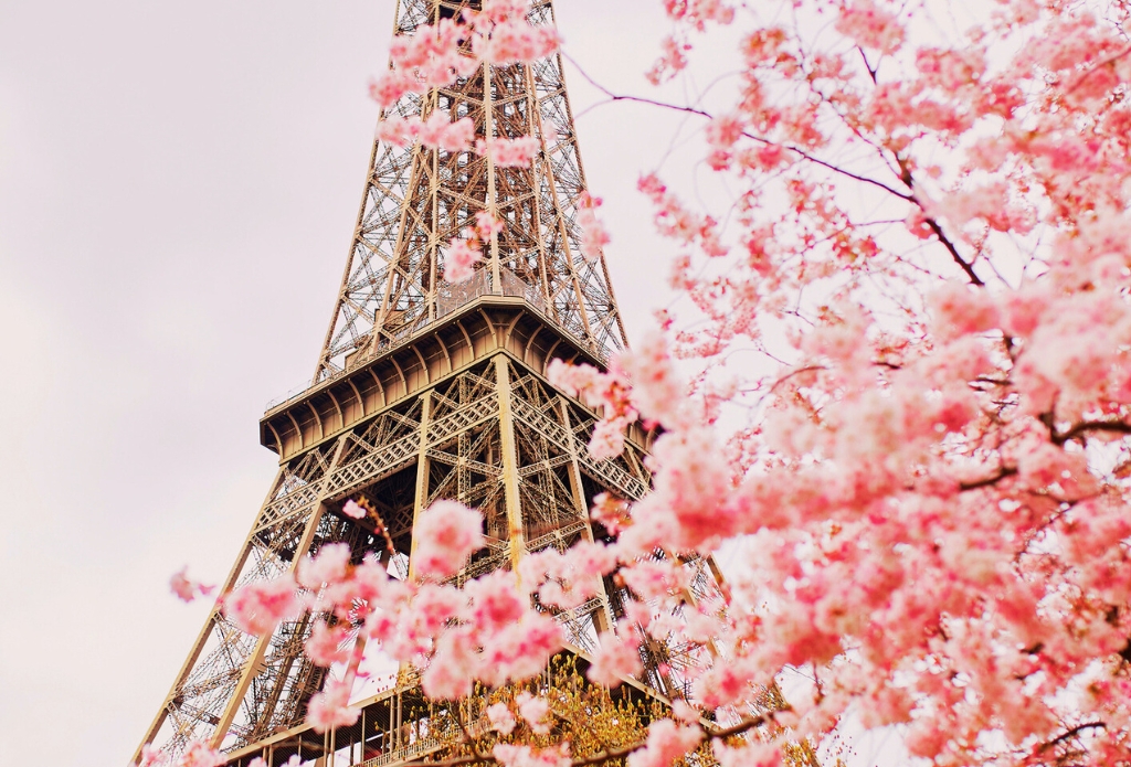 A French Collection tweet media