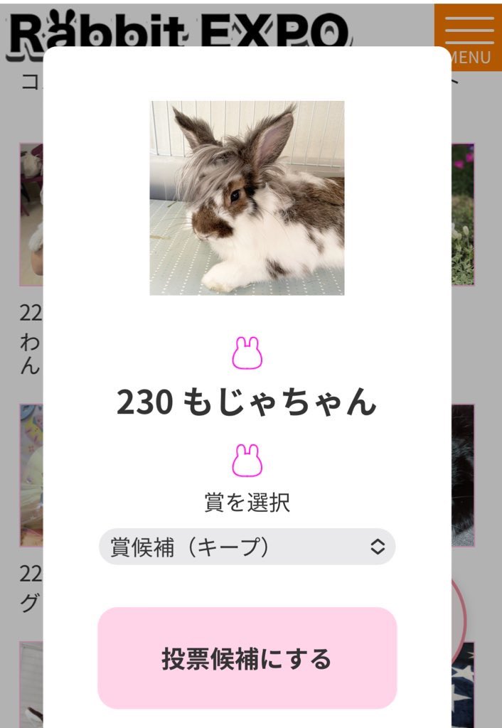 rabbit EXPO うちの仔いちばん
イケメンうさぎのもじゃに投票よろしくお願いします🥺🌸↓

rabbit-expo.com/photo-contest/

#うさぎ　#うさぎがいる暮らし　#ライオンラビット　#ライオンラビット男の子
