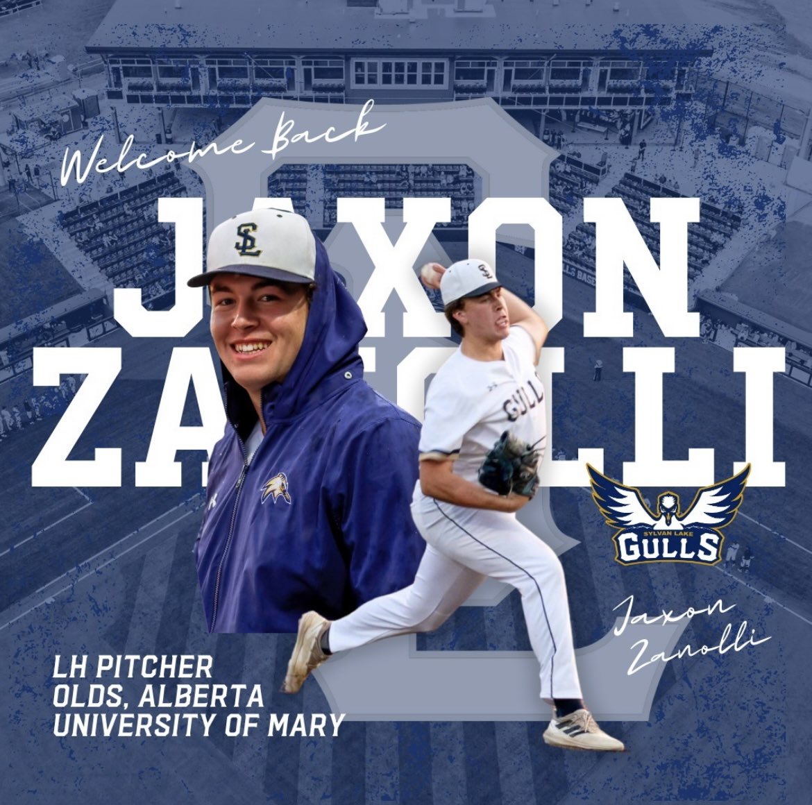 Sylvan Lake Gulls tweet media