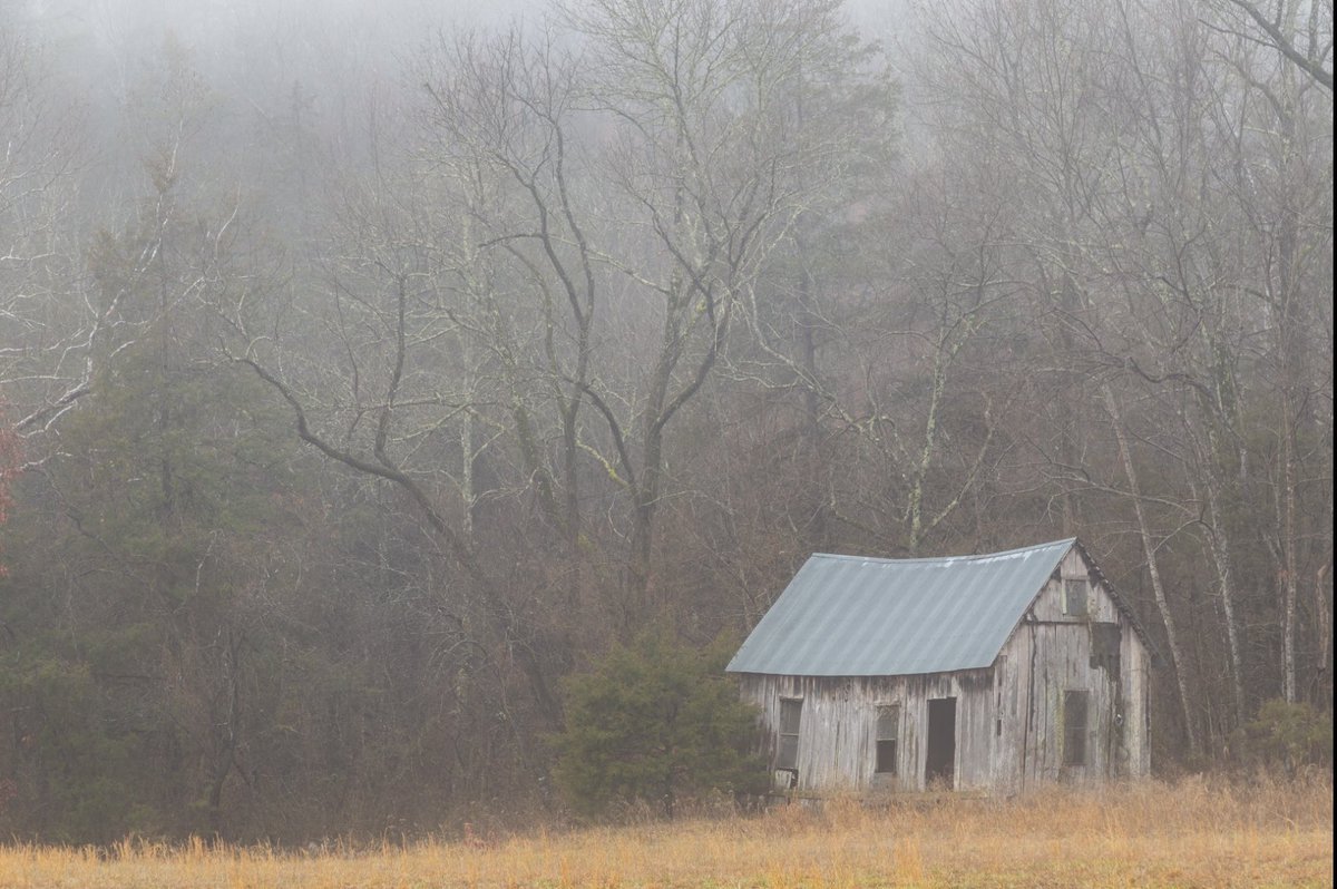 Foggy morning in Boxley Vallwy, along the Buffalo National River.

#arkansas #ozarks #ozarkmountains #buffaloriver #buffalonationalriver #arkansasphotography #wonderfularkansas