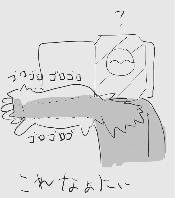 今日の朝。ねこのいろんな寝相スタイル 