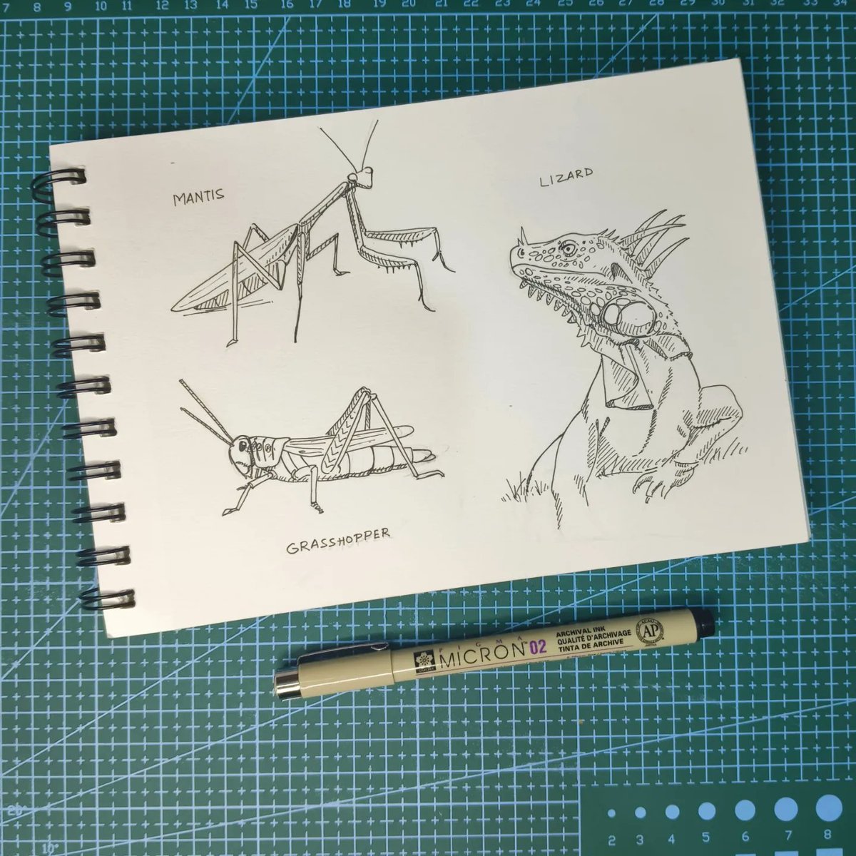 JaspreetArtist's tweet photo. Insects and Reptile 🦎 Study 
#insect #Reptile #jaspreetsinghartist #sketchbook #drawing https://t.co/M887uMwcxt