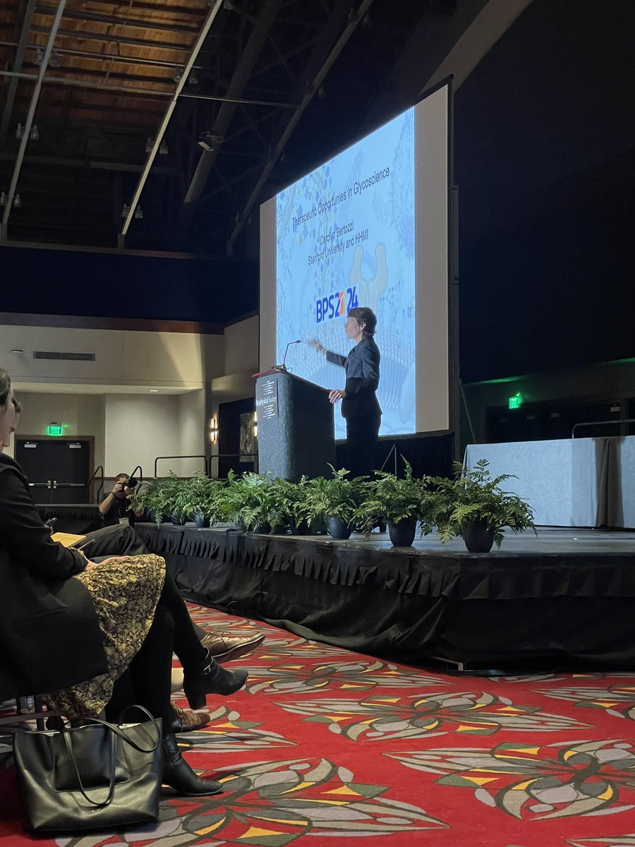 Leonel Malacrida tweet media