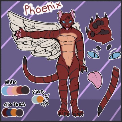 Phoenix (new home arc) tweet media