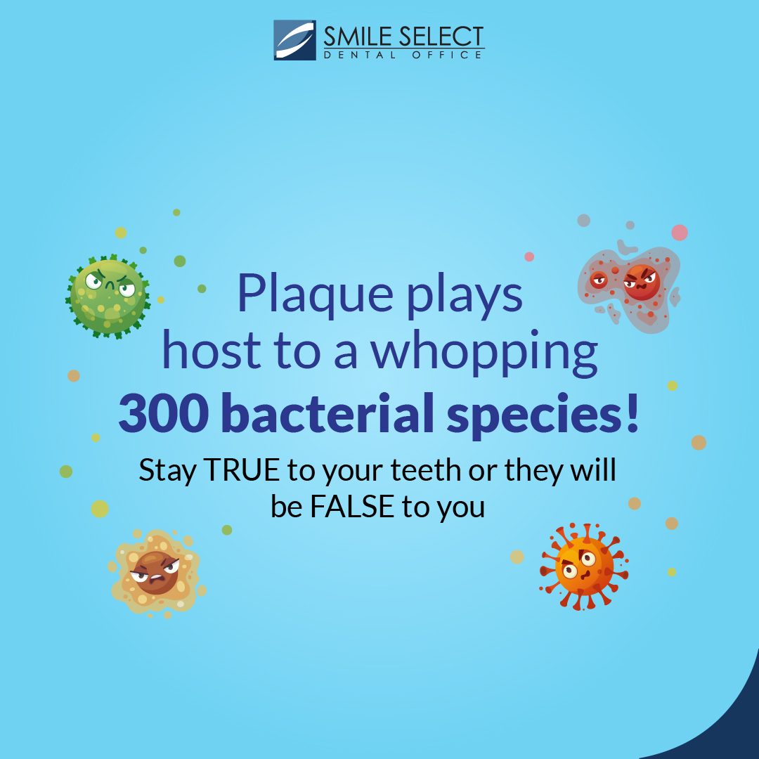 MySmilesSelect's tweet photo. Your oral health is no joke, so let's keep those pearly whites shining bright. Book your appointment with Smile Select Dental today, and let the journey to a healthier, happier smile begin! https://t.co/5XW6JE6Tbp