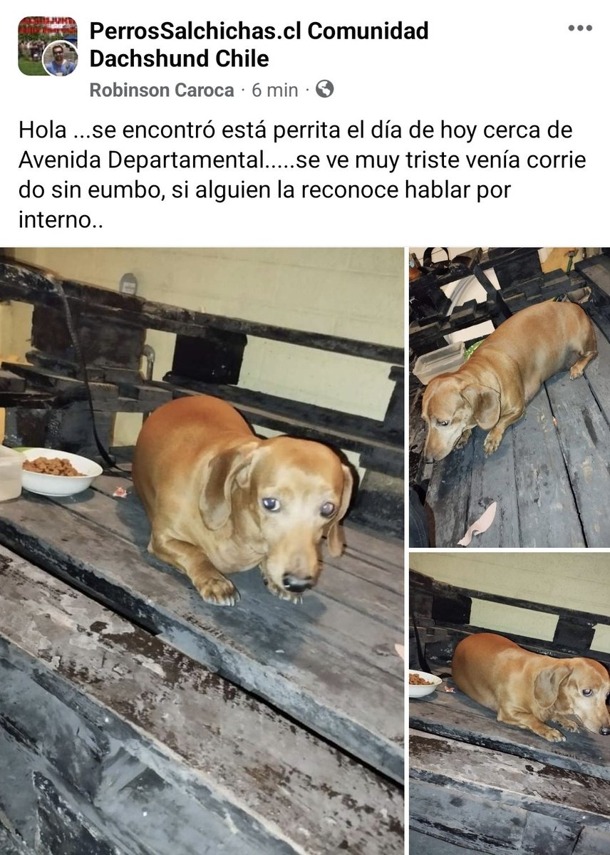 Salchichas_cl's tweet photo. Encontrada en av #departamental
Favor RT! https://t.co/wNOvgOvjRG