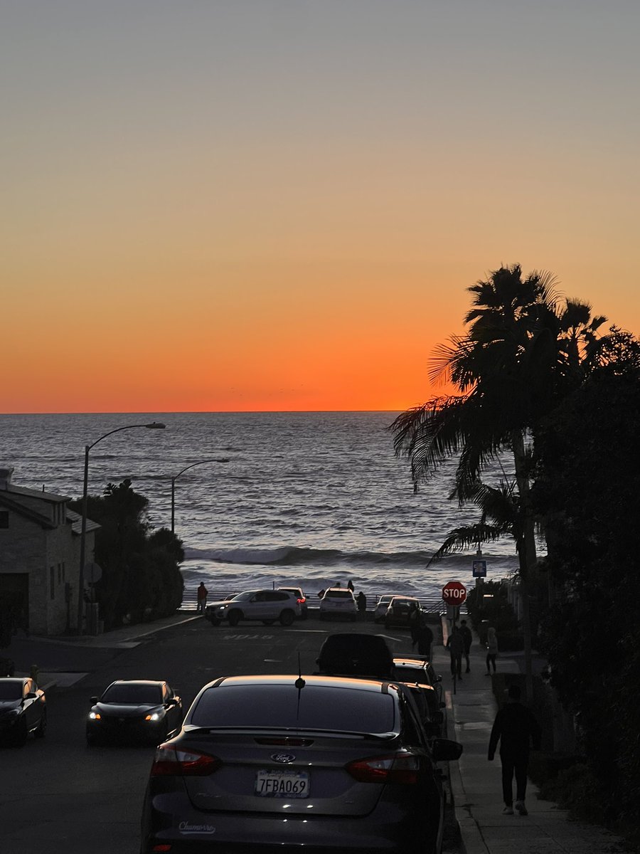 Eva M. Meza tweet media