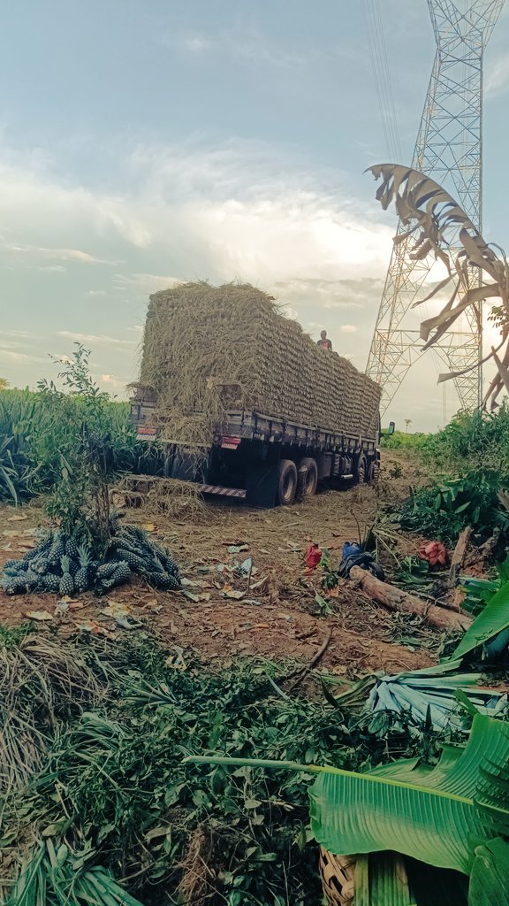 enzo_neras's tweet photo. Us guri do 🍍 https://t.co/aLigRl3MBo
