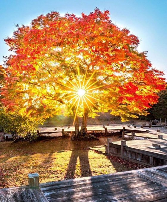 vulcanize  phaedra ﾠmabela
Every day ﾞis  a ⳿new ᠎beginning.  May ᠍you chase ᠍your ⳿dreams ᱸbravely ᱸand ᠎welcome ﾠa ᠎beautiful ᠍day  - ᠍Good ‍morning🥰