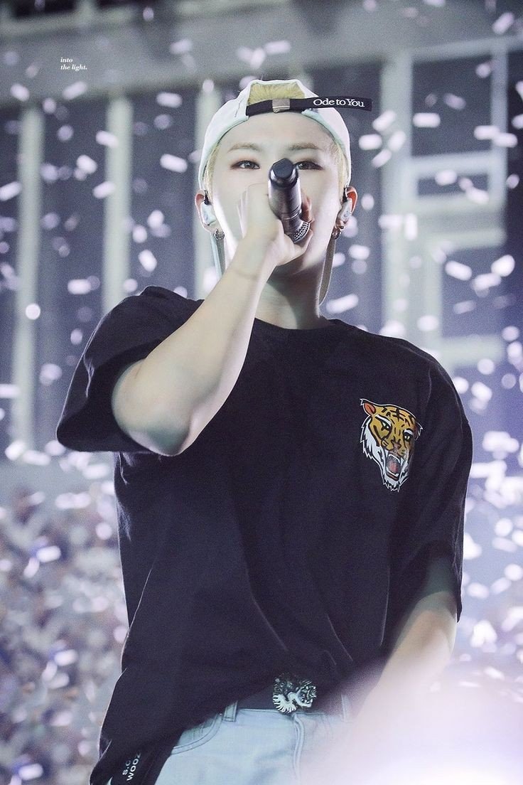 _hourlyhoshi's tweet photo. #HOSHI #호시 #세븐틴 @pledis_17 https://t.co/lFzkgYUpu7
