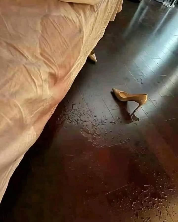 DoctoraSexual's tweet photo. ¿Qué haces si llegas a tu casa y encuentras esto? https://t.co/qhp7bqQgdw