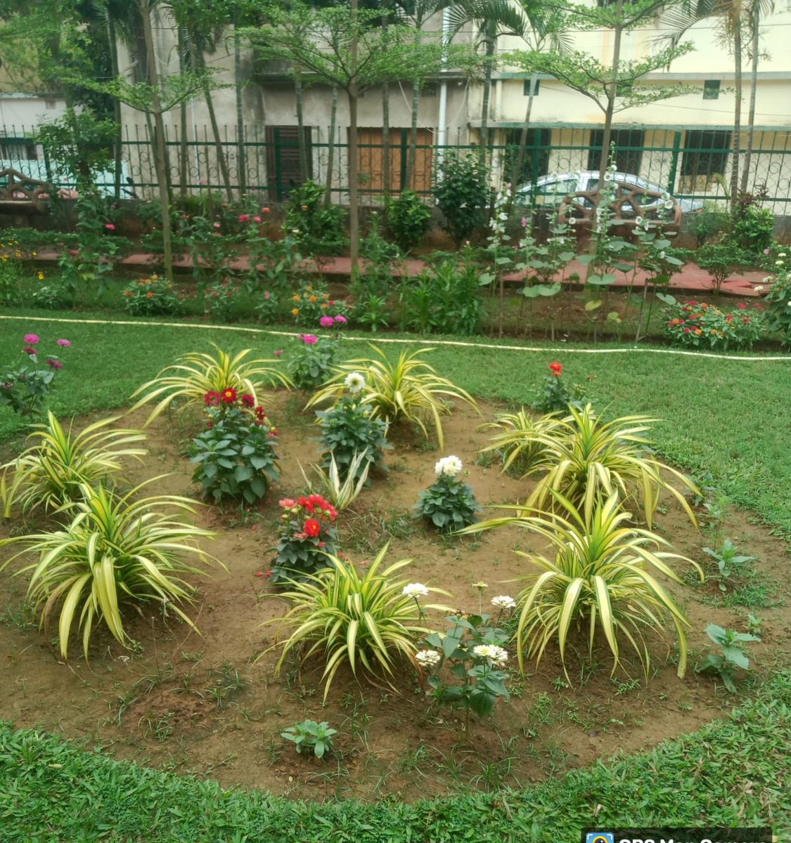 bmcbbsr's tweet photo. The Parks blossoms with these beautiful flowers.
Visit the Parks of the city to explore it.
#BMCParks
#VisitParks https://t.co/kwGjRwaZzJ