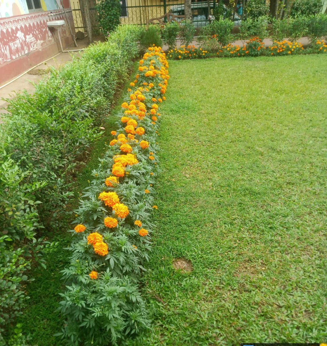 bmcbbsr's tweet photo. The Parks blossoms with these beautiful flowers.
Visit the Parks of the city to explore it.
#BMCParks
#VisitParks https://t.co/kwGjRwaZzJ