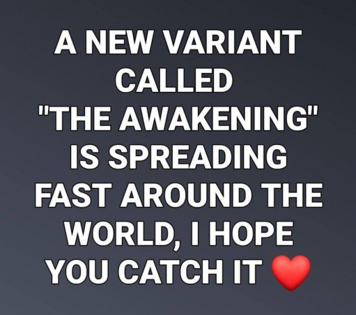 BlackHouseGov's tweet photo. #BlackHouseGov 3Am Drop: #Stargate #Agenda47 #2Q24 H/T #CAT_REPORT https://t.co/IEgQdFrrQ3