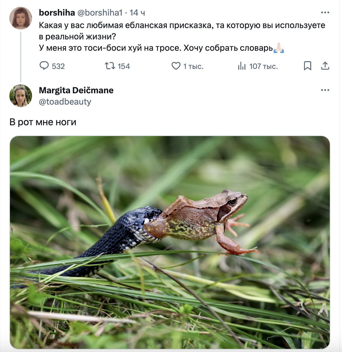 oldLentach's tweet photo. Пополняем словарный запас.

В комменты кидайте свои любимые присказки https://t.co/kc3wPoHsyt