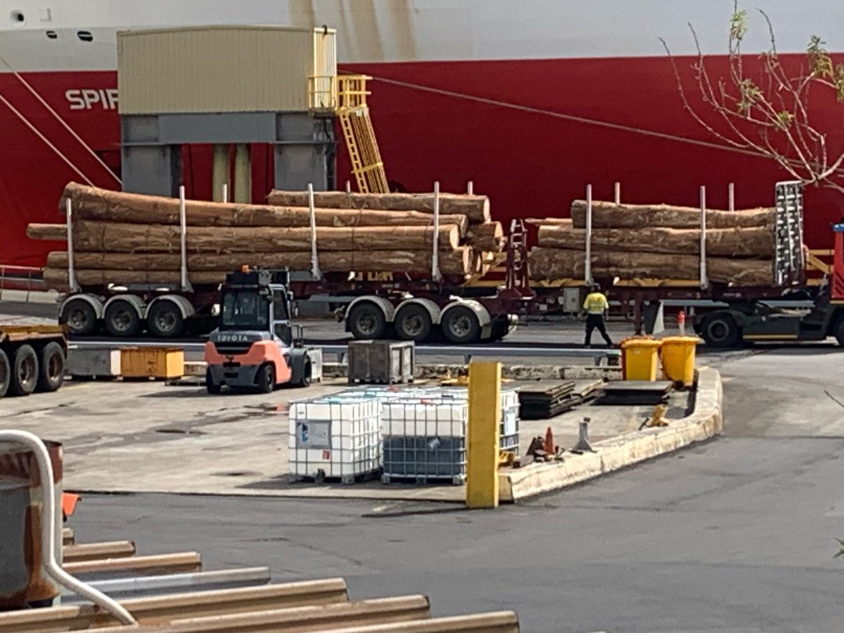 Thanks @abchobart & @EventualAnimal for a chat about the perversity that is exporting native forests logs to Victoria - like these from today If logging wildlife habitat & carbon stores isn't bad enough for our clean green brand, shipping it off with tourists is a double whammy