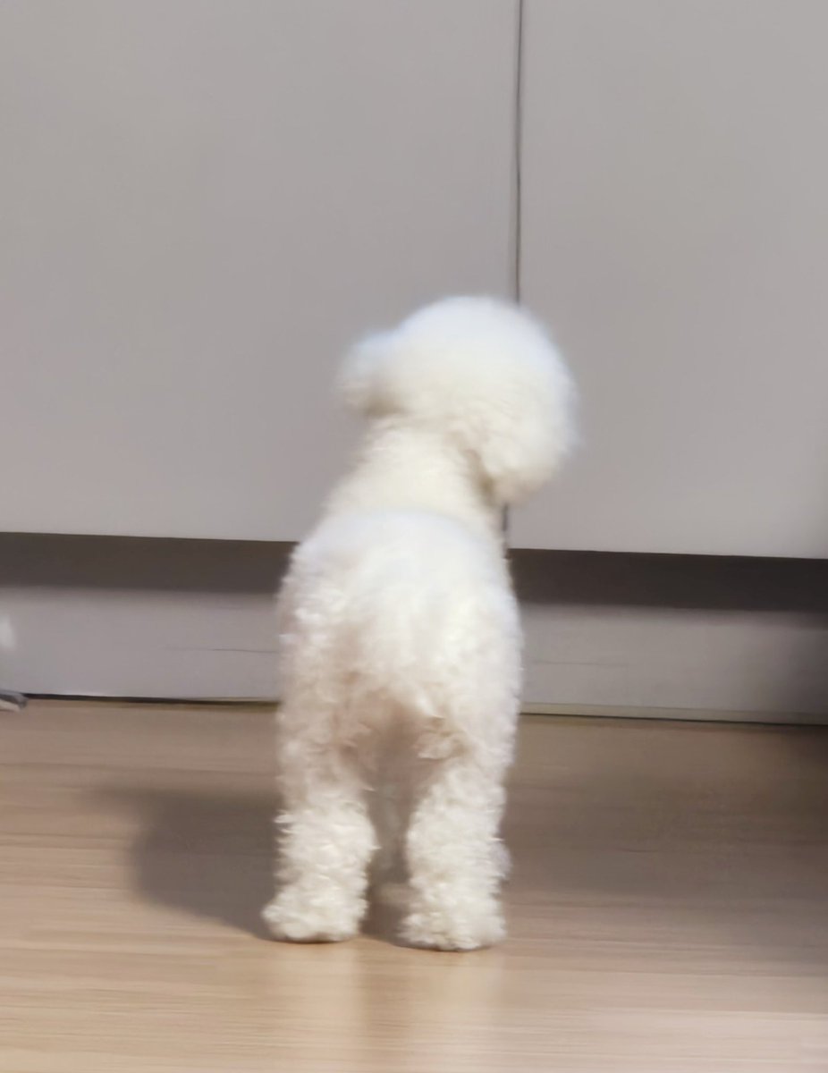 sunghoon’s weverse update with baby gaeul 🫶🏻