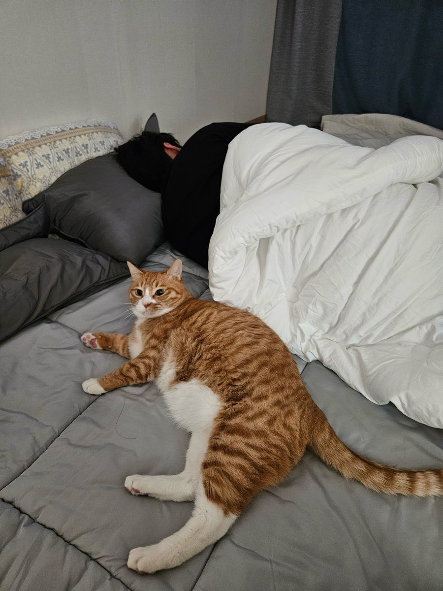 skzwithstay8's tweet image. 🐰- 🌱 
[130224] 4:37 PM KST

*VIDEO &amp;amp; PICTURE

What happened while I was sleeping…

ㅋㅋㅋㅋㅋㅋㅋㅋ