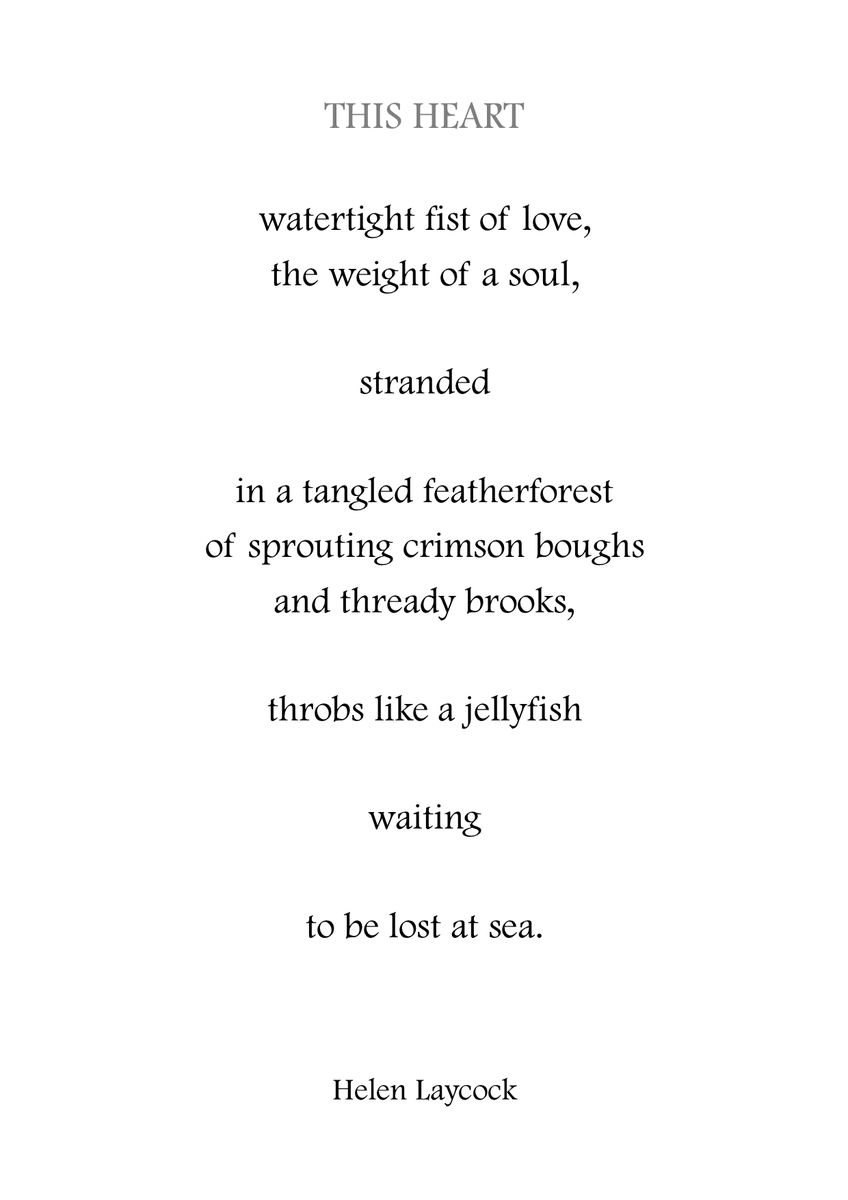 helen_laycock's tweet photo. Time to bask in some 

❤️#love #poetry ❤️ 

@Pocket_rhyme this @TopTweetTuesday.

Have a wonderful day of hosting, Helen! https://t.co/ZVco5ynFuS