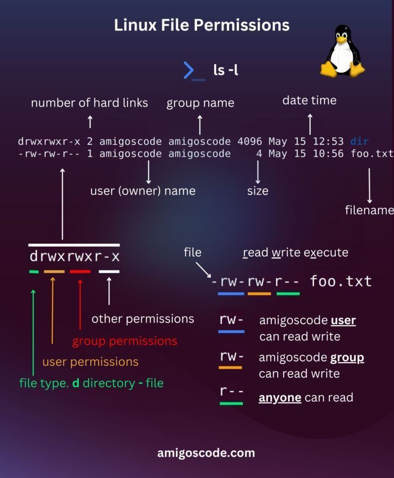ByteBuzzToday's tweet photo. Linux File Permissions https://t.co/dCsqpuSEpB