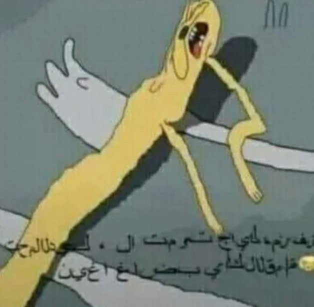 🎀 cachorrita 🎀 tweet media