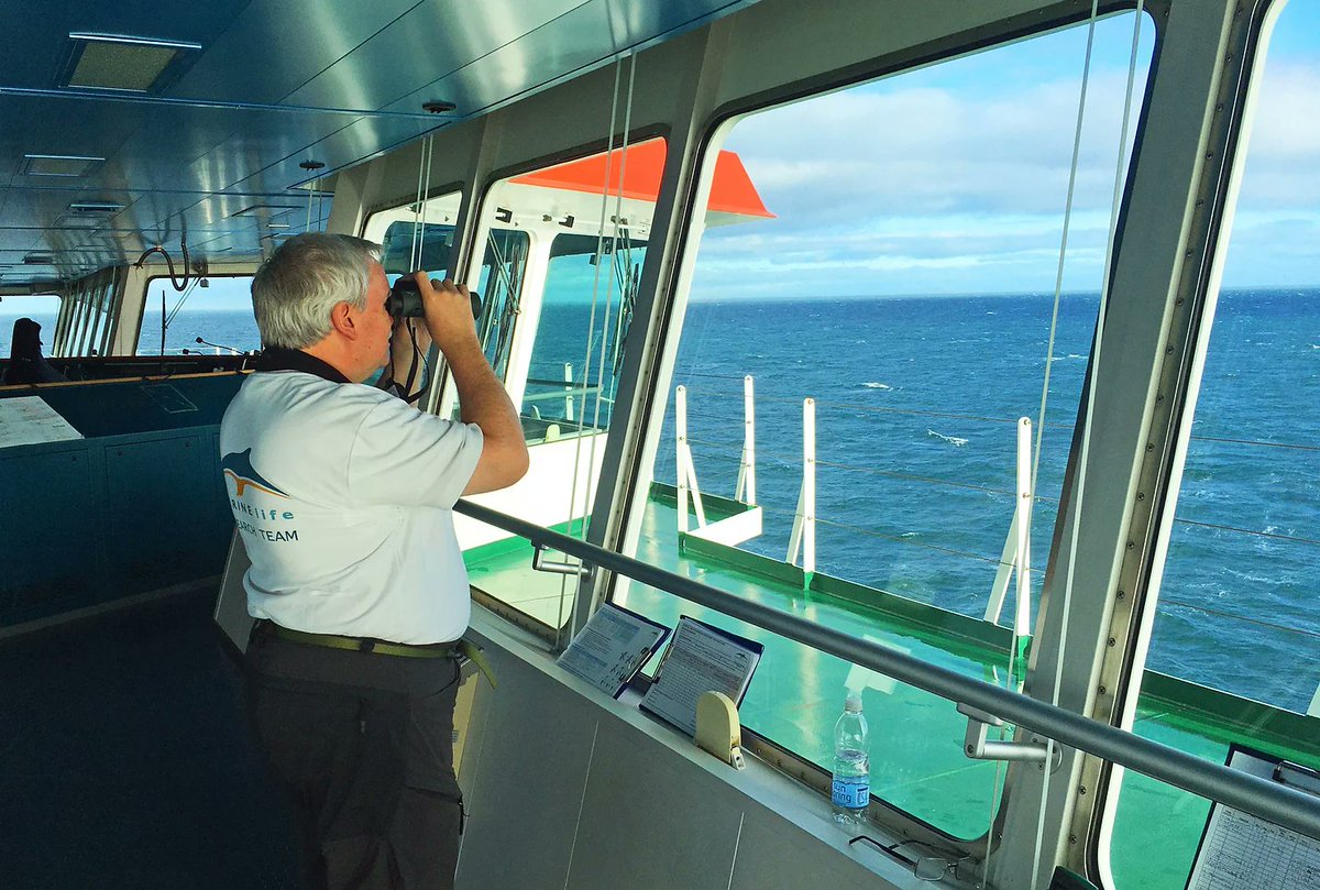 MARINElife Survey Report - Heysham-Warrenpoint-Heysham survey 1st-2nd February 2024 Rob Petley-Jones and Don Ainsworth, Research Surveyors for MARINElife (Registered Charity No. 1110884; Registered Company No. 5057367) 📸 (Rob Petley-Jones) marine-life.org.uk/post/heysham-w…