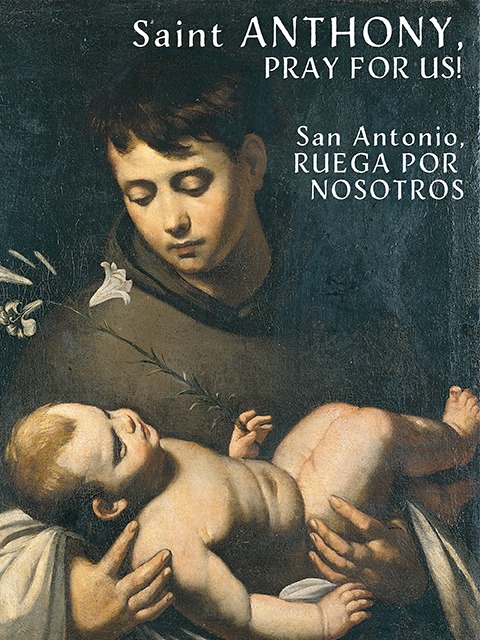 Friar Mario Conte tweet media