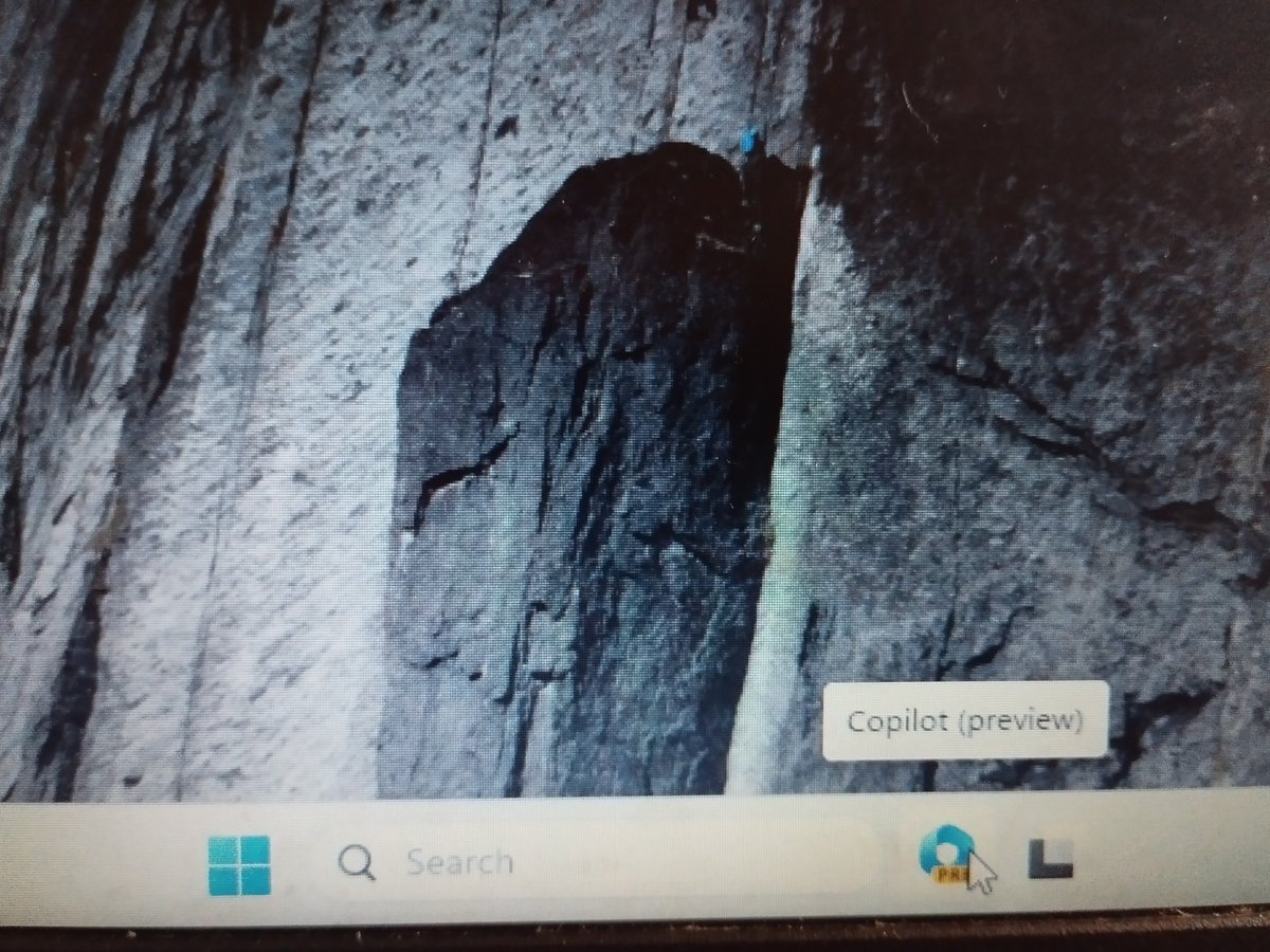 dinguschesse's tweet image. Haven't seen this Copilot logo in a while.
#WindowsInsider #WindowsInsiderProgram