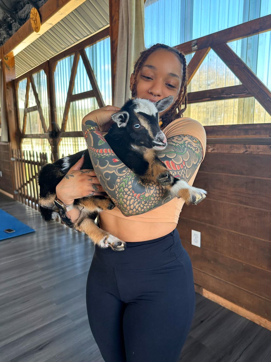 Edgar Allan Hoes🕷 tweet media