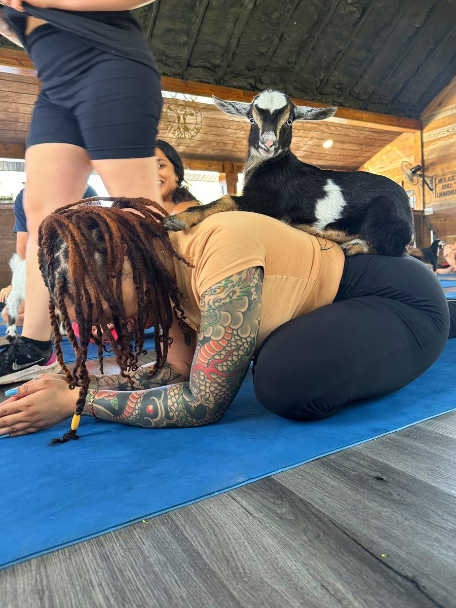 Edgar Allan Hoes🕷 tweet media