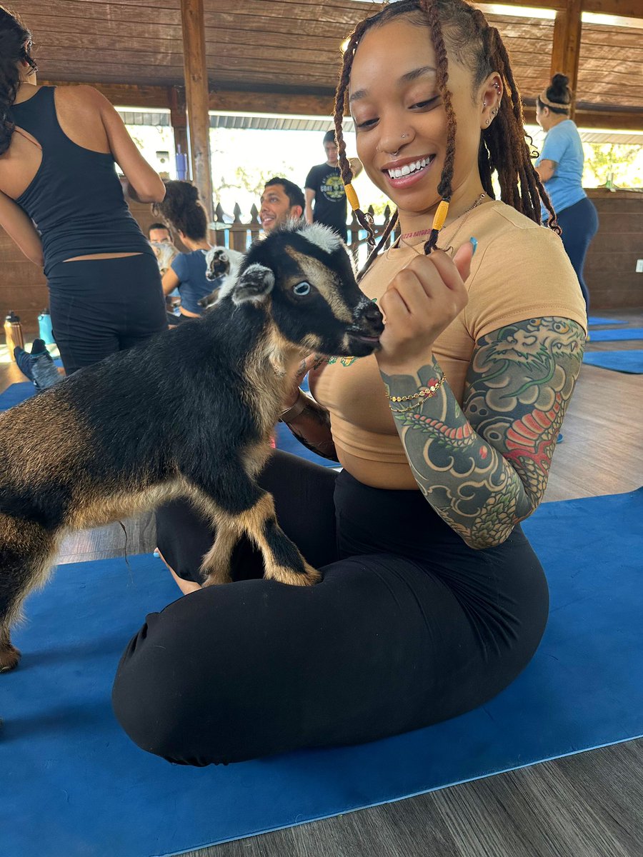 Edgar Allan Hoes🕷 tweet media