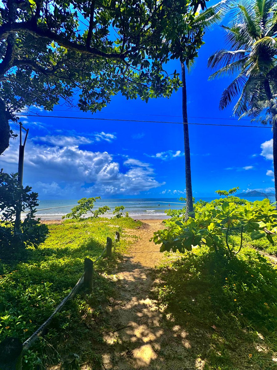 Jack Newbegin tweet media