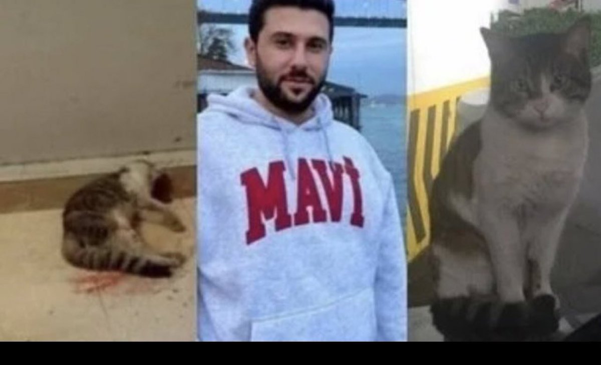 Saat 06.43 günaydın değil adalet diyorum ❗️Bu günde ,yarında ,diğer günlerde bu yavrucanın hakkı alınana kadar adalet yerini bulana kadar söylemeye,bağırmaya devam edeceğiz.  #ibrahimkeloğlantutuklansın <a href="/adalet_bakanlik/">T.C. Adalet Bakanlığı</a>