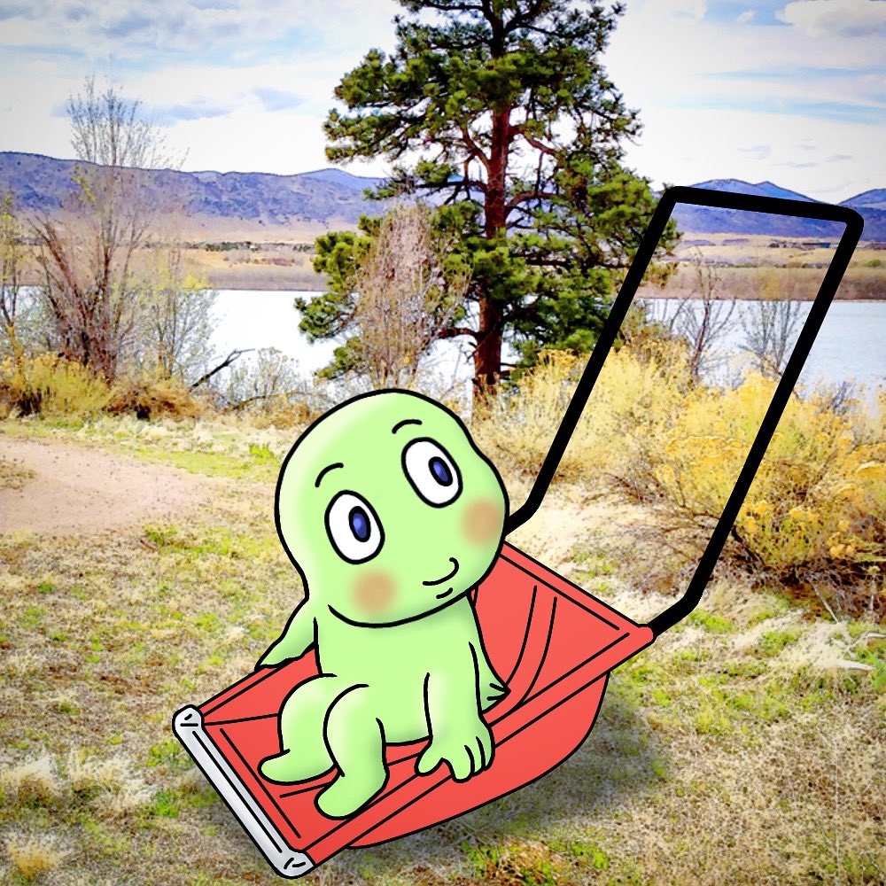 風の妖精 フーちゃん (@fuchan02342) / Posts / X