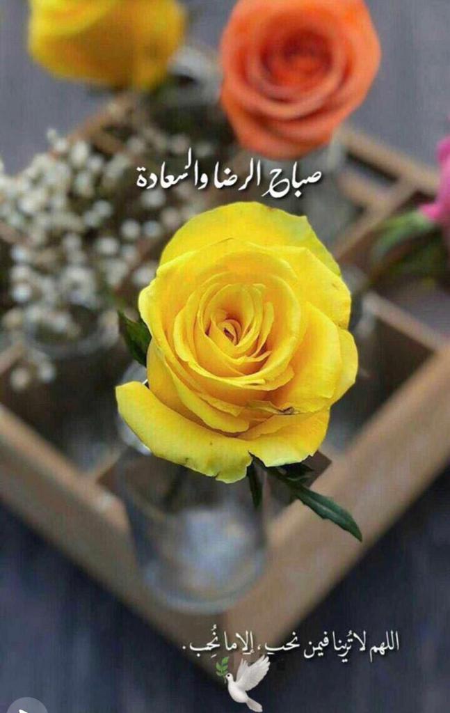 Abdullah Hashmi tweet media