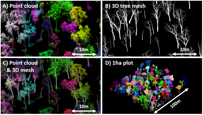 New Postdoc position available for 3D laser scanning of forest structure using drone remote sensing. Full description here: seek.com.au/job/73676657 Team based at UQ, Aus Please retweet! 🙏