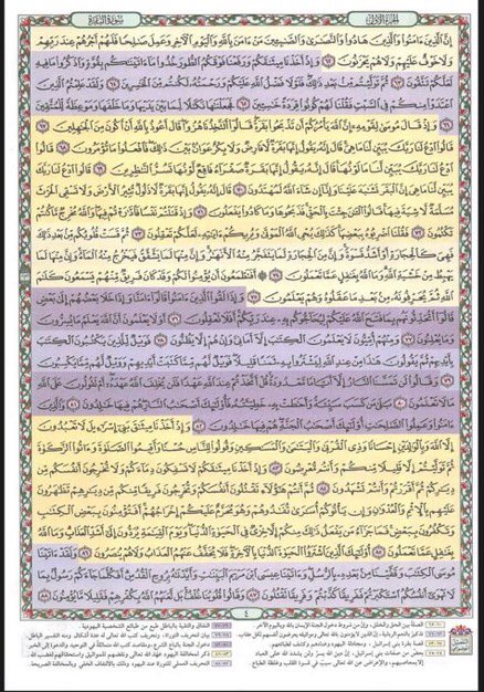 بنت الوطن ٢٠٣٠ tweet media