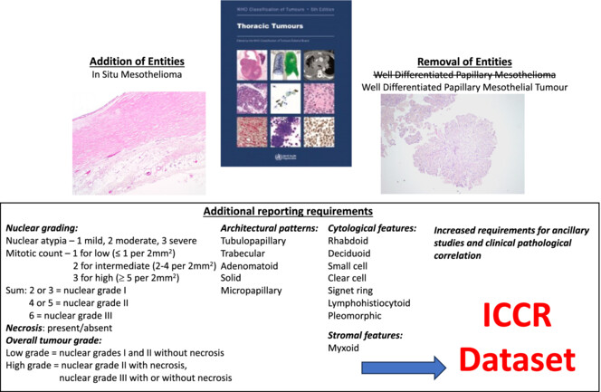 Proud to contribute to vital research on #mesothelioma reporting standards by the ICCR. This work promises to improve patient care and support global research efforts. Read more: bit.ly/3ODkKgf #CancerResearch #Pathology