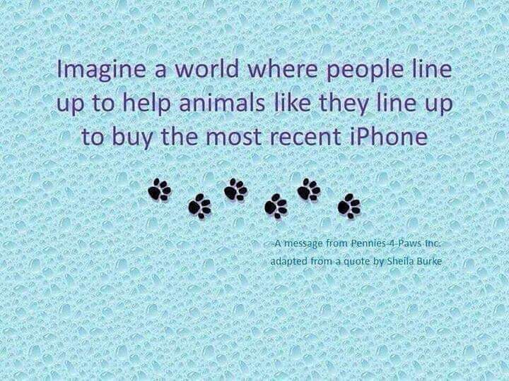 If only, @capespca