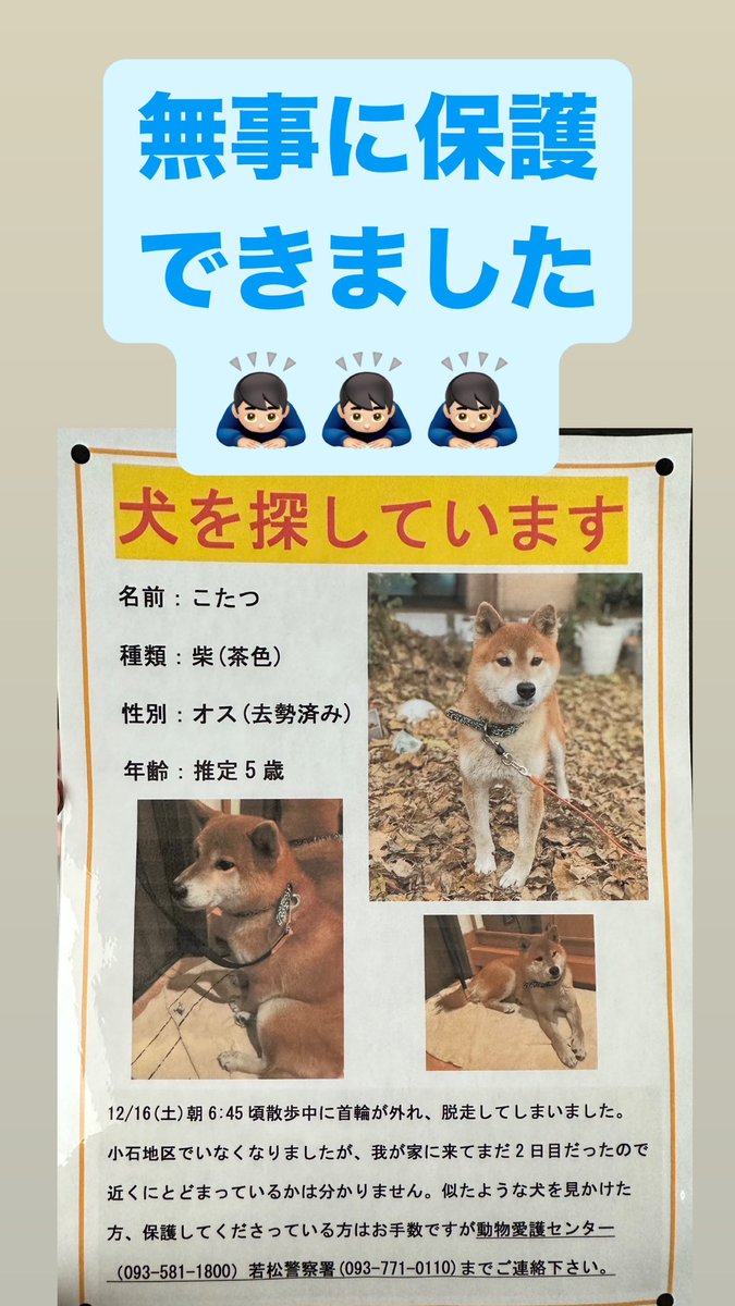 au75cd's tweet photo. 【ご報告】
今朝、茶屋町公園にてこたつを、捕獲することができました！！！
捜索してくださった方、情報提供いただいた方、こたつを見かけるとおやつをあげて可愛がってくださった方々、全ての方に御礼申し上げます。
仕事中のため、取り急ぎご報告だけ、させていただきます。 https://t.co/uu3fJJJWEg