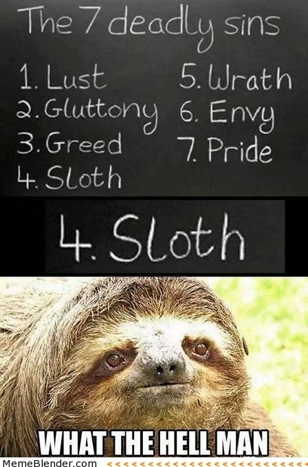 Sloth Of The Day (@day_sloth) on Twitter photo 