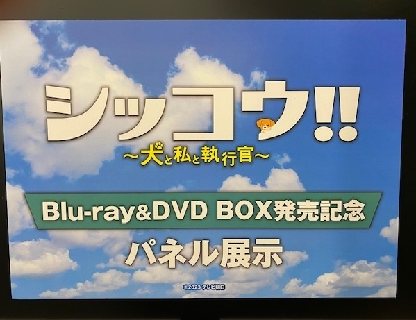 シッコウ!!〜犬と私と執行官〜 Blu-ray BOX