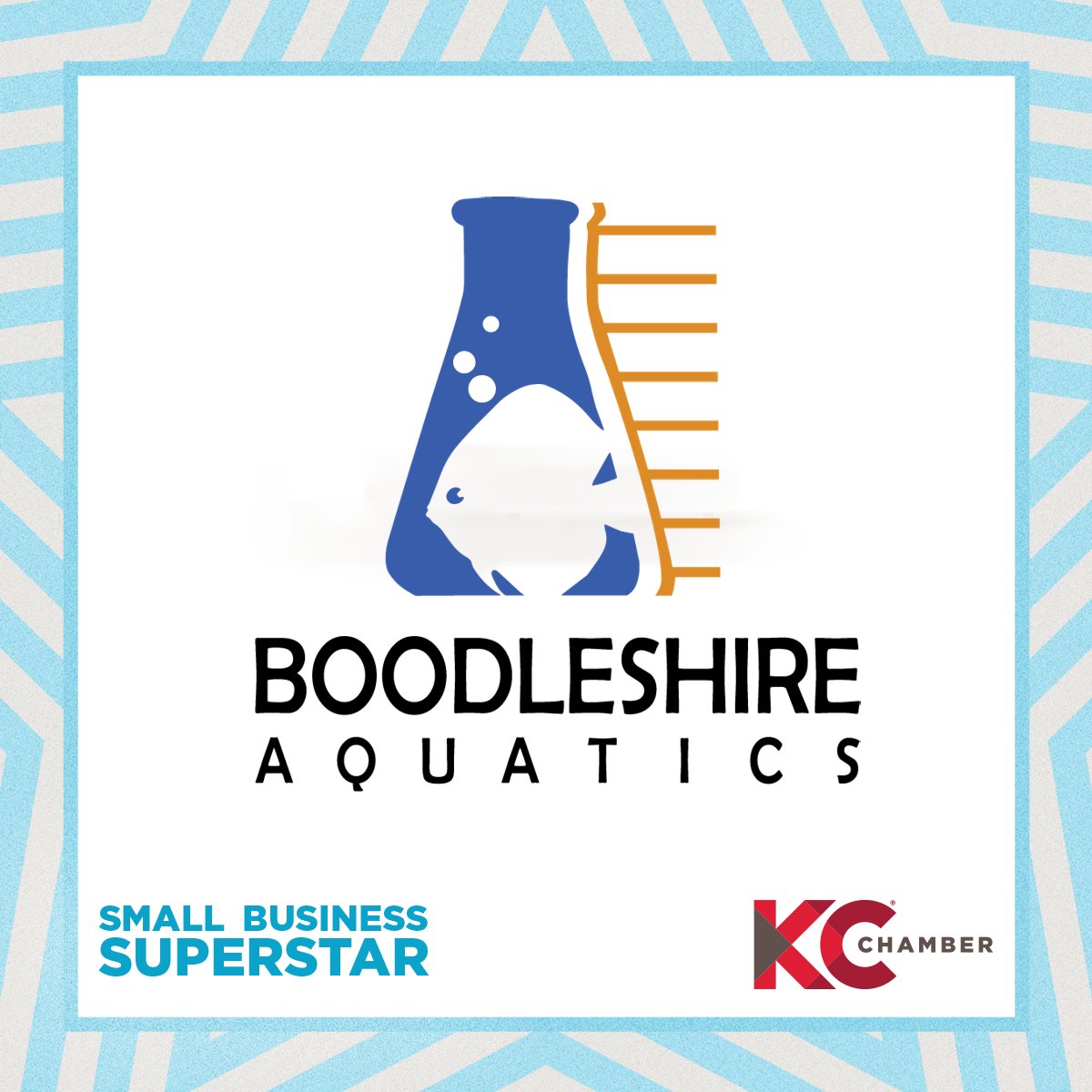 Thanks to all our clients and customers who submitted us as a #SmallBizSuperstar with the @kcchamber! Congratulations to our fellow 2024 Superstars and cheers to all those who celebrate and support small business.