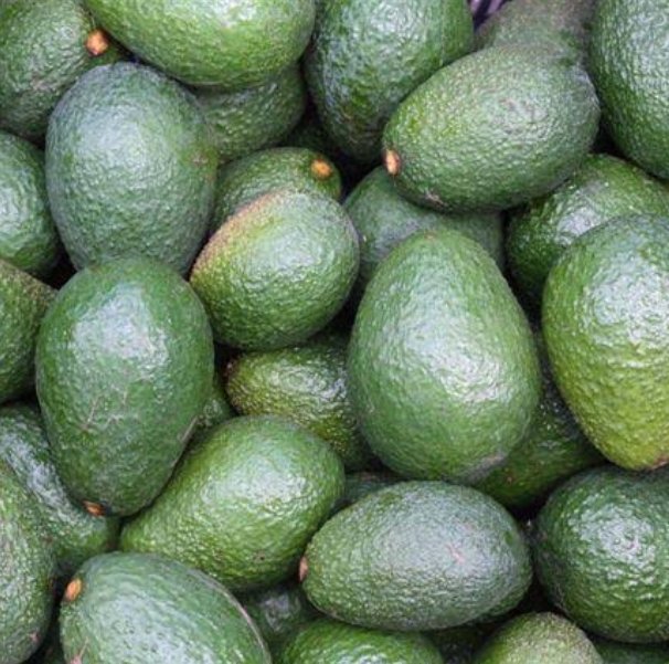CARMEN HASS AVOCADO. This is similar to HASS but produces 1-2 months earlier than the traditional HASS.The fruits have an exccent flavor. The tree has a rounded shape and thick canopy. This is AVAILABLE in Kenya but is on PATENT.