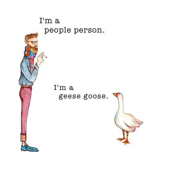 I'm a geese goose - #inspirationalquotes #Creativethinking #Creativity #creativequotes #artists #joke #meme #CreativeReflections #bekind #humour #inspire #PilgrimSoul #AdultColoringBook #quotes #comedy #Creative #aestheticquotes #poem