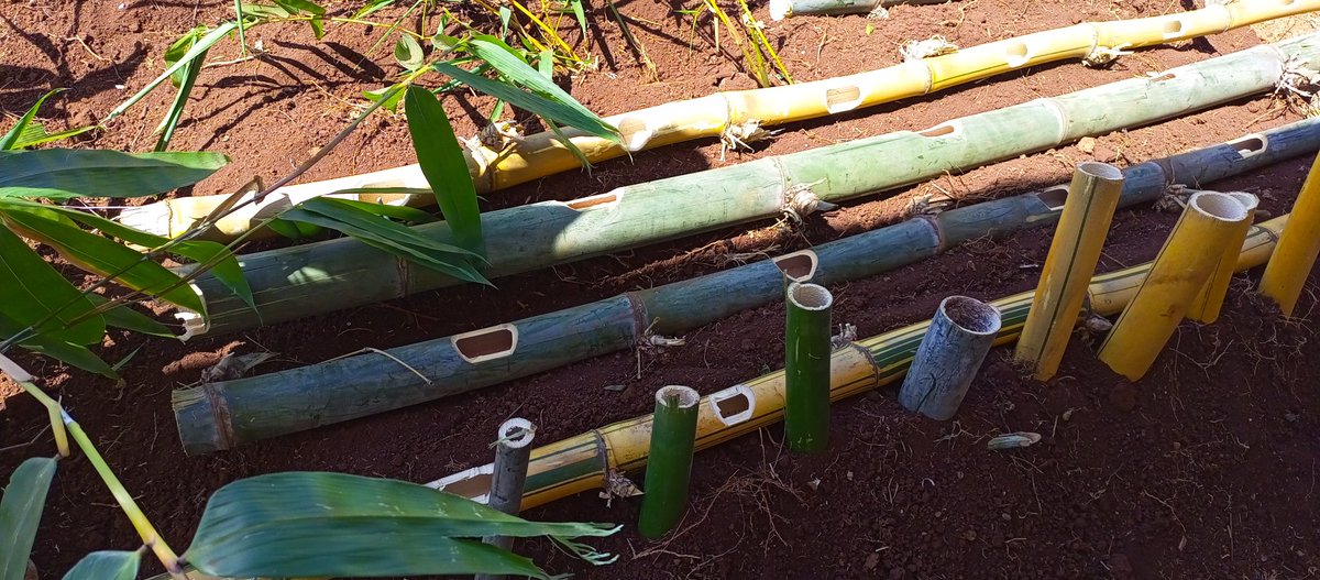 TRANSFO GREEN WORLD tweet media